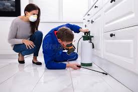 Best Indoor Pest Control  in Shamokin Dam, PA